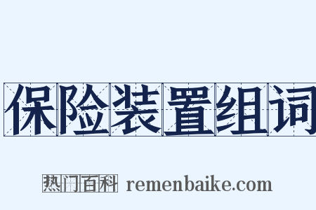 保险装置组词是什么意思的图片